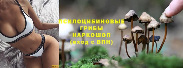 прущие грибы Алексеевка