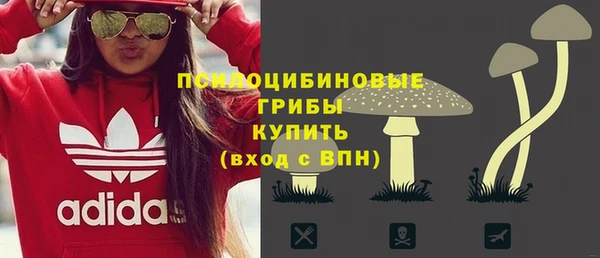 прущие грибы Алексеевка
