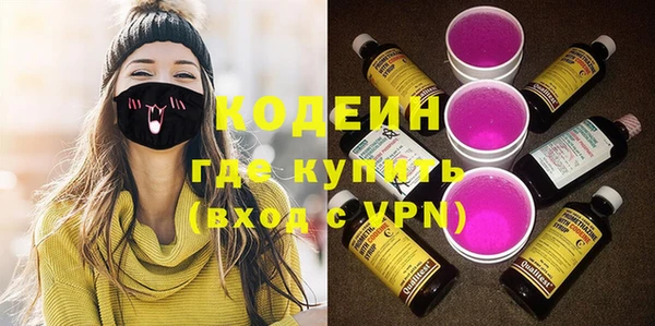 хмурый Алексин