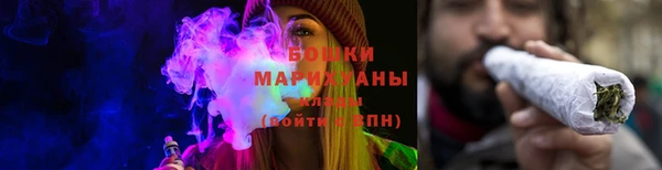 прущие грибы Алексеевка
