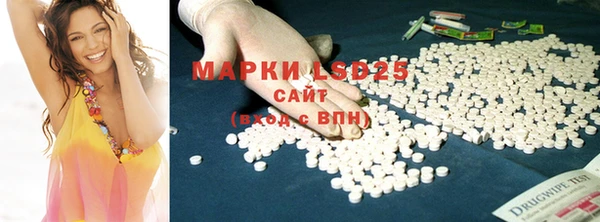 прущие грибы Алексеевка