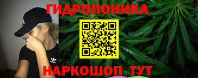 гидропоника Можга