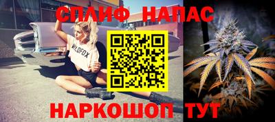 гидропоника Можга