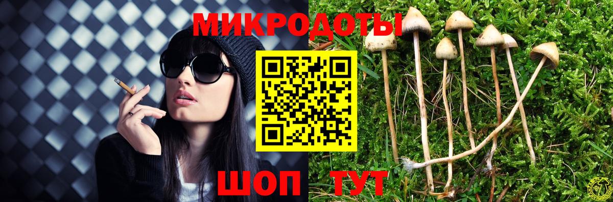 Псилоцибиновые грибы Magic Shrooms Северодвинск