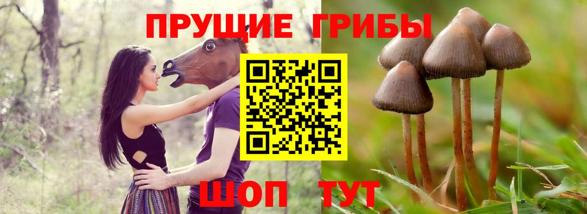 Псилоцибиновые грибы ЛСД  Псилоцибиновые грибы Magic Shrooms  Вход с VPN  Северодвинск 